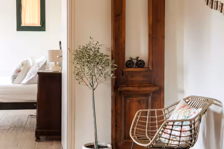 Ibiscus Boutique Apartment — photograph 16